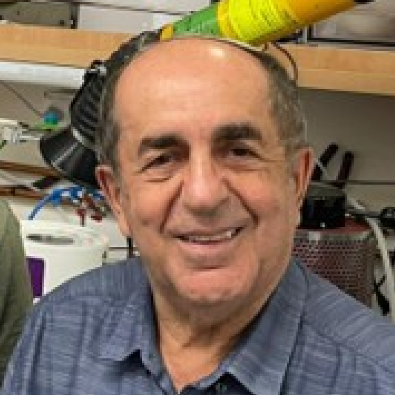Prof. Michael Zinigrad